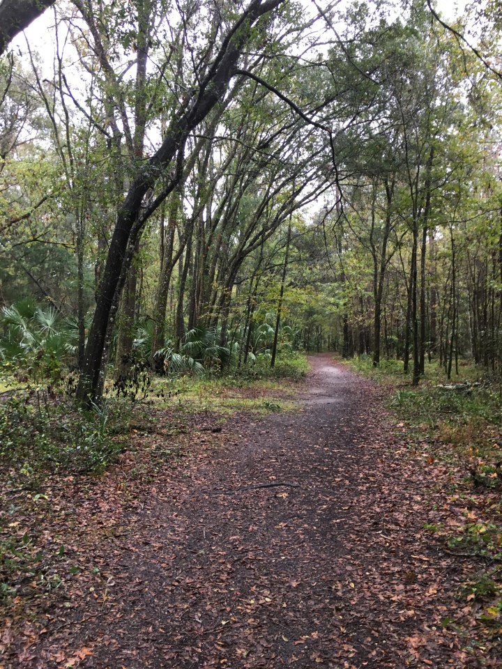 565D625F-4B8F-464B-BBC8-E98A16DDADCB